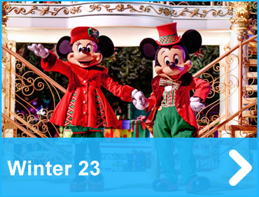 Coach Holidays to Disneyland® Paris*