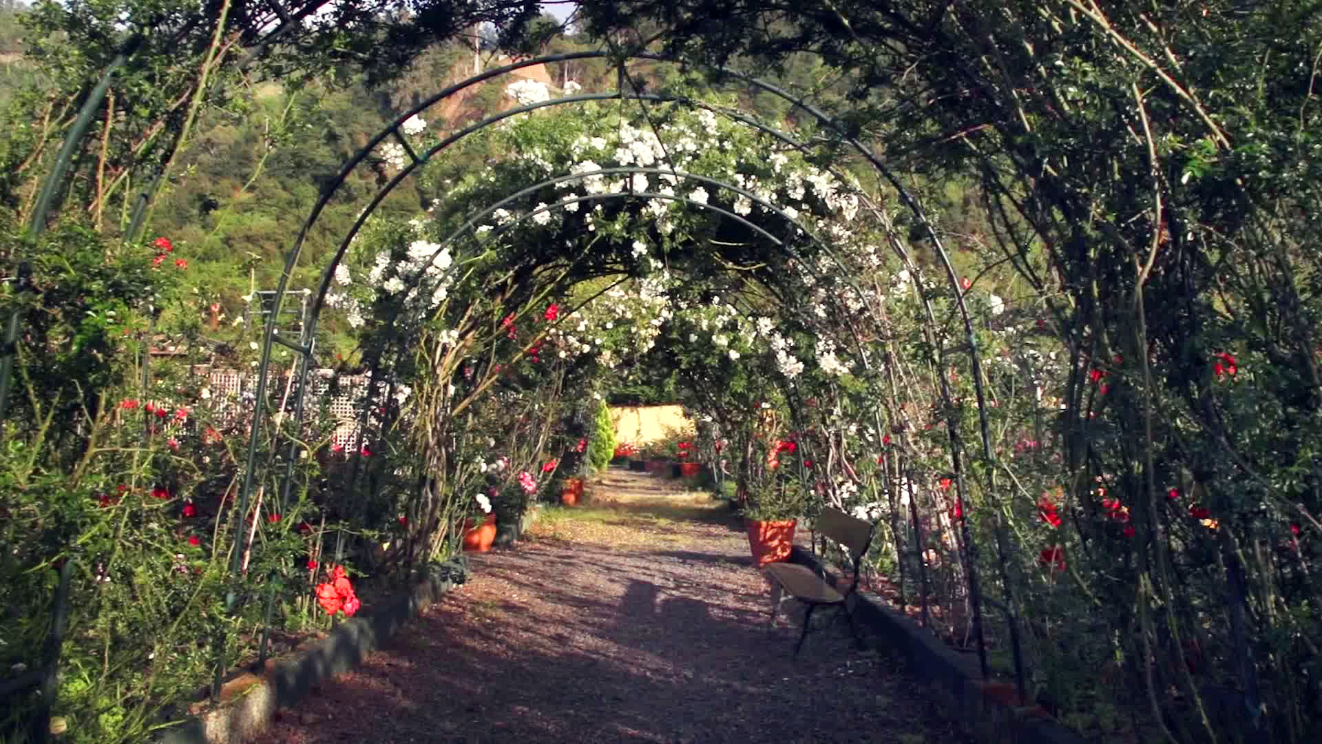 Quinta do Arco Nature & Rose Garden Resort