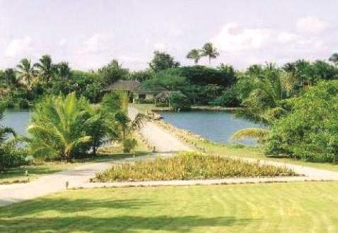 Galley Bay Resort & Spa