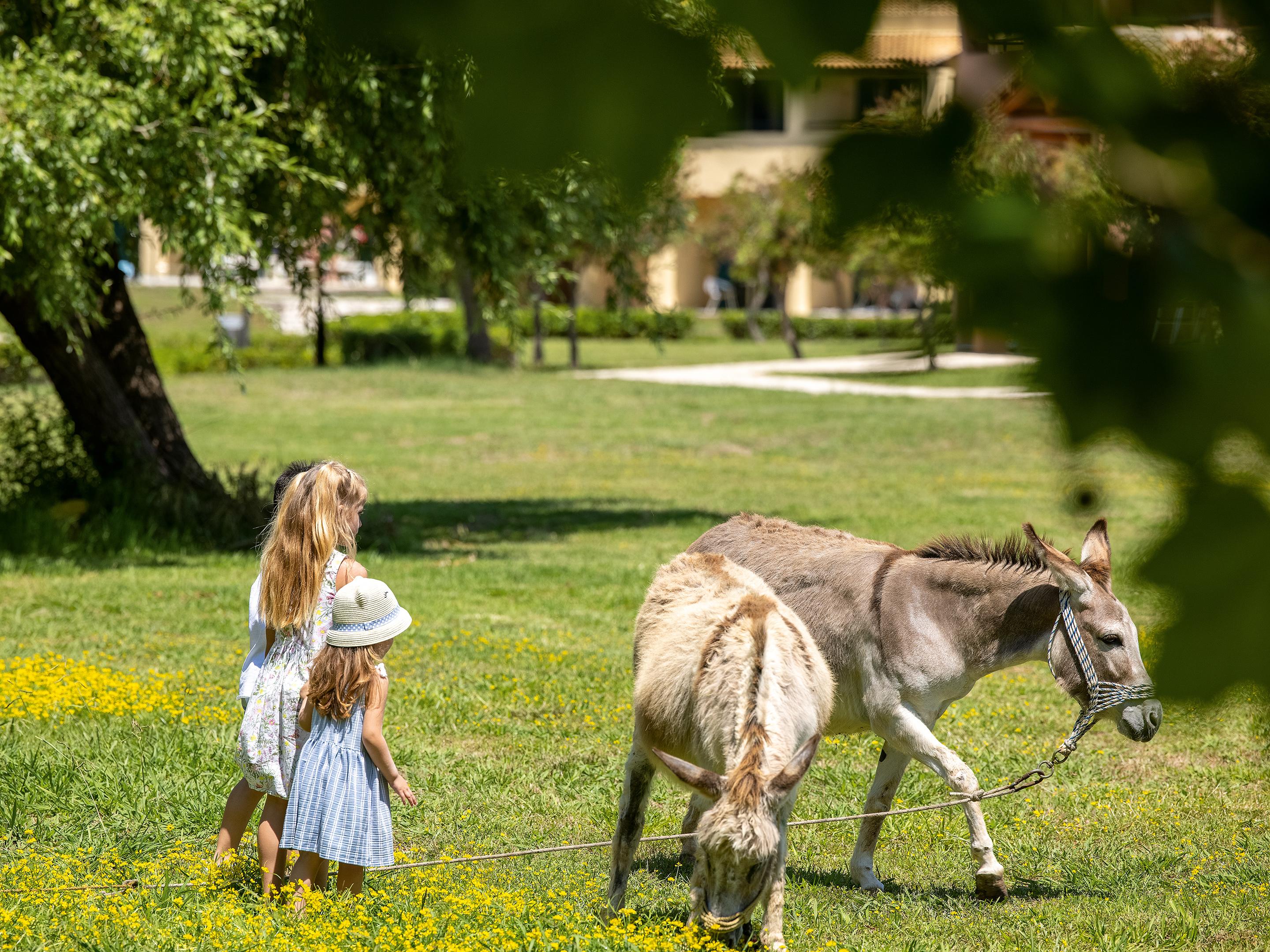 Grecotel Lux Me Costa Botanica Photo