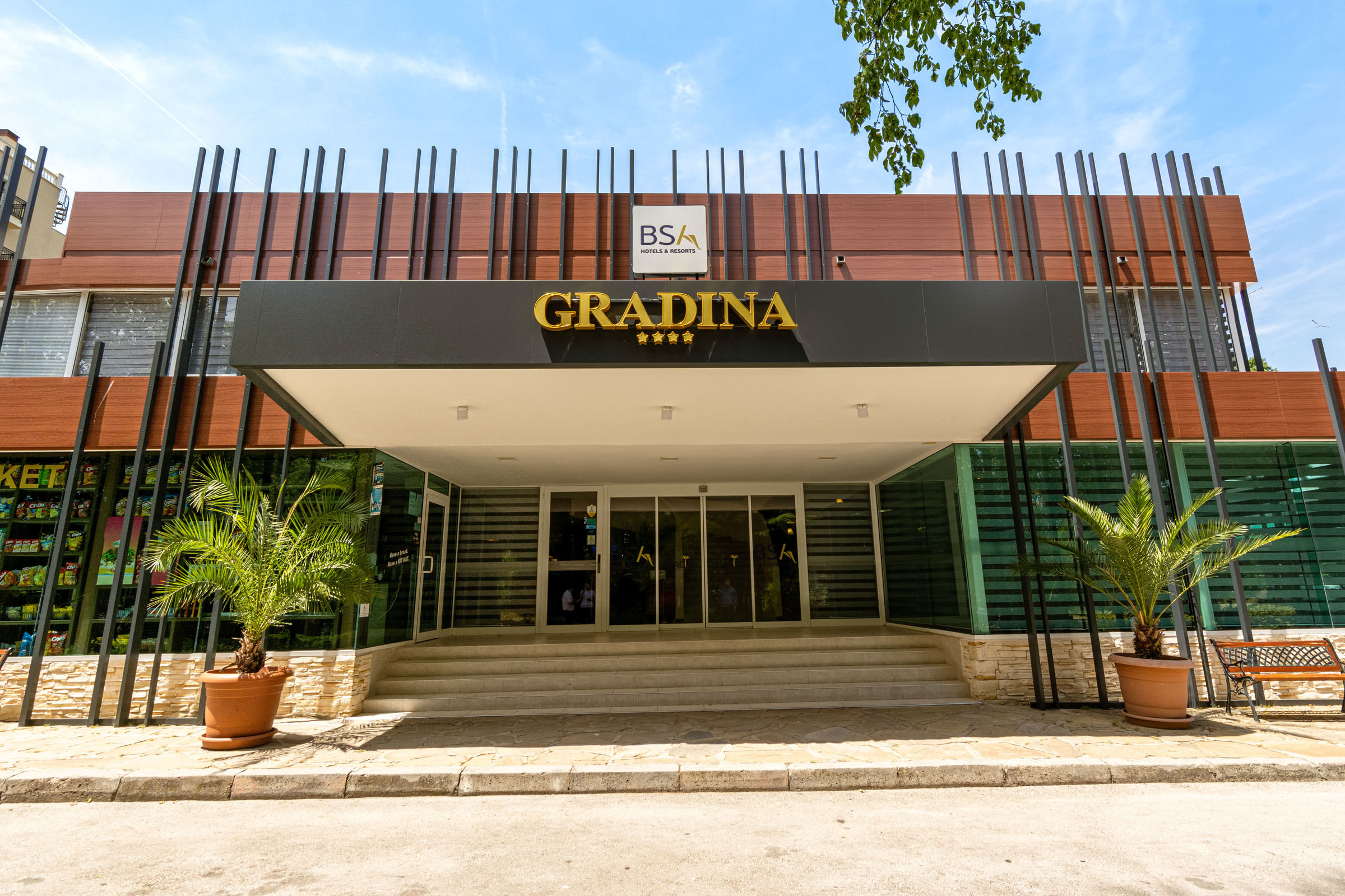 Bsa Gradina