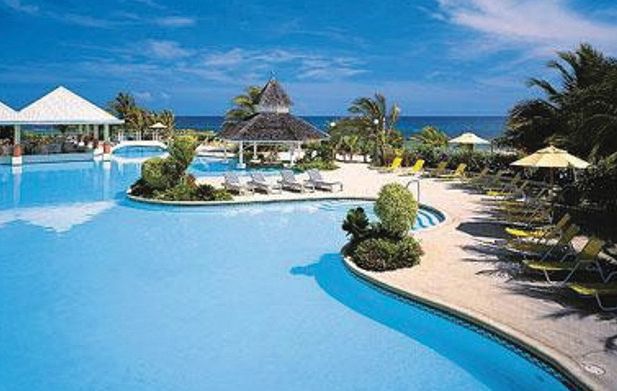 Bougainvillea Barbados