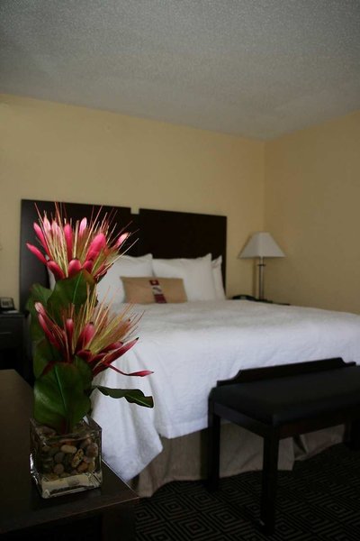 Hampton Inn & Suites Orlando John Young Pkwy S. Park