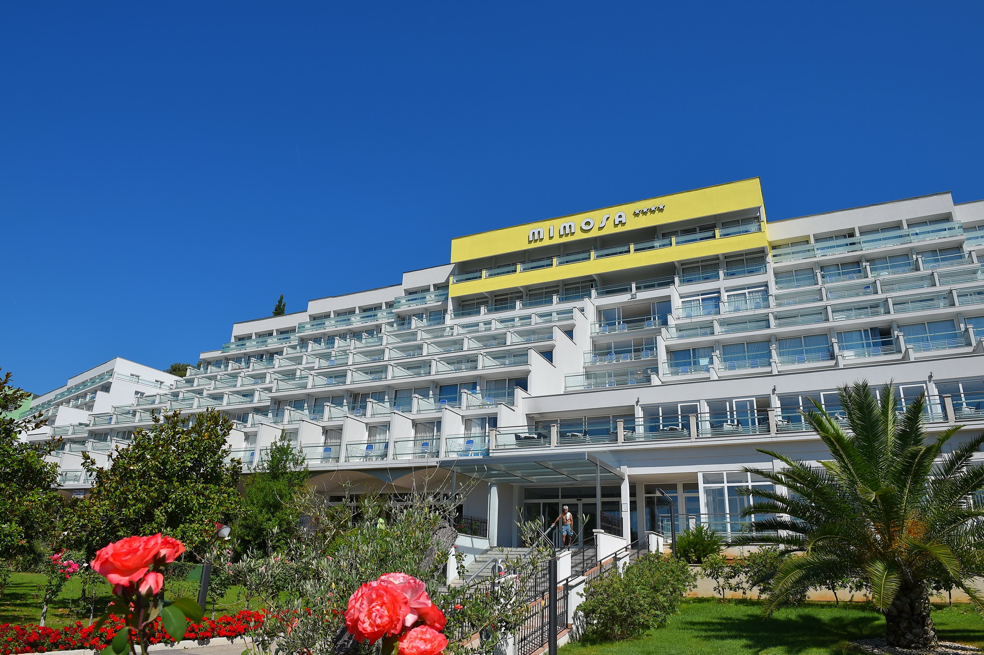 Hotel Mimosa - Lido Palace