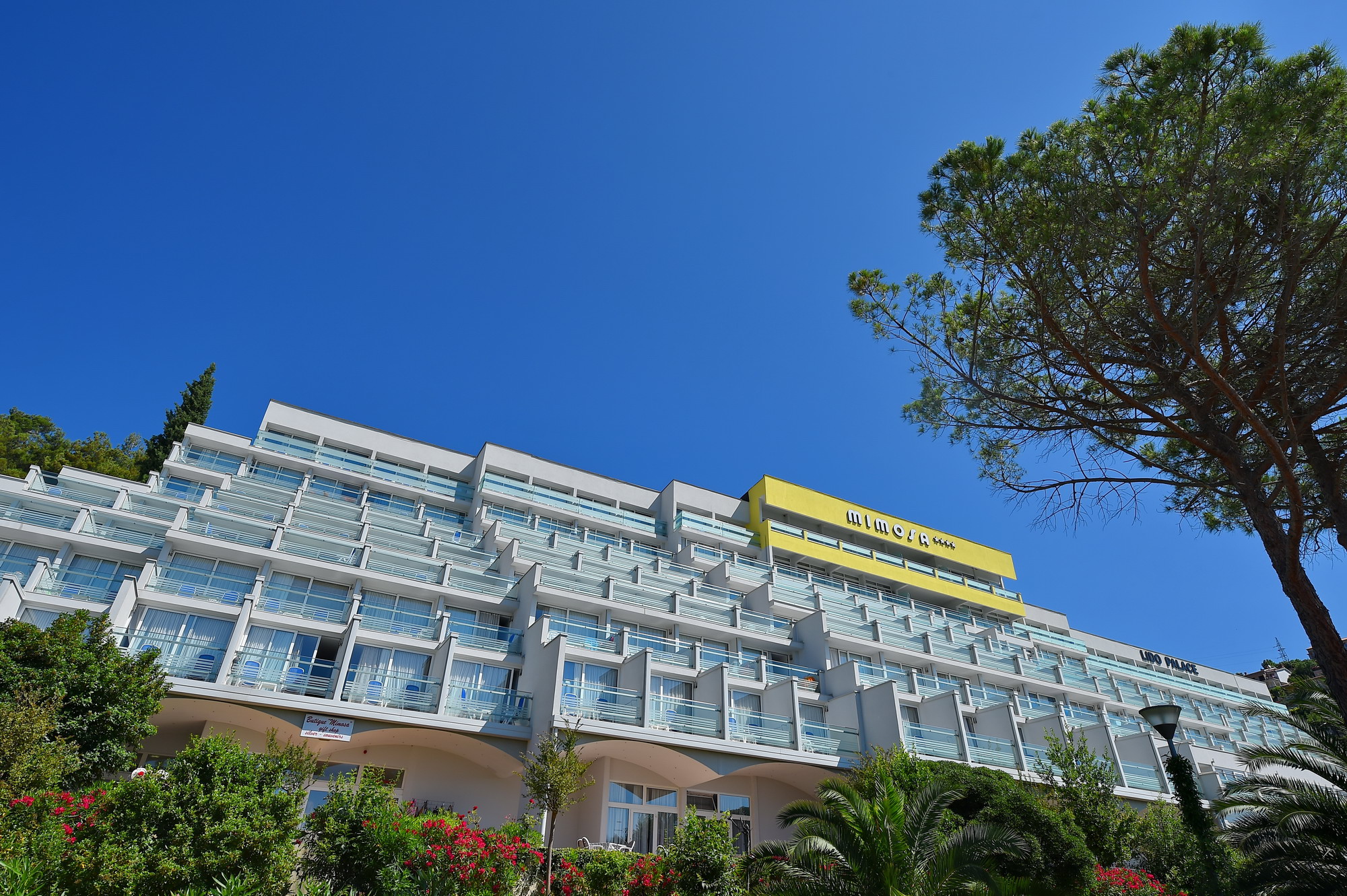 Hotel Mimosa - Lido Palace