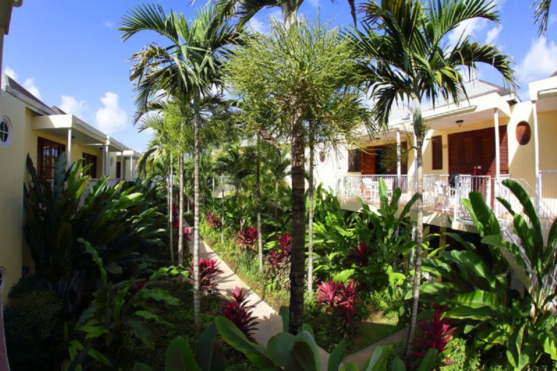 Negril Palms Hotel