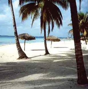 Horizontes Playa Larga