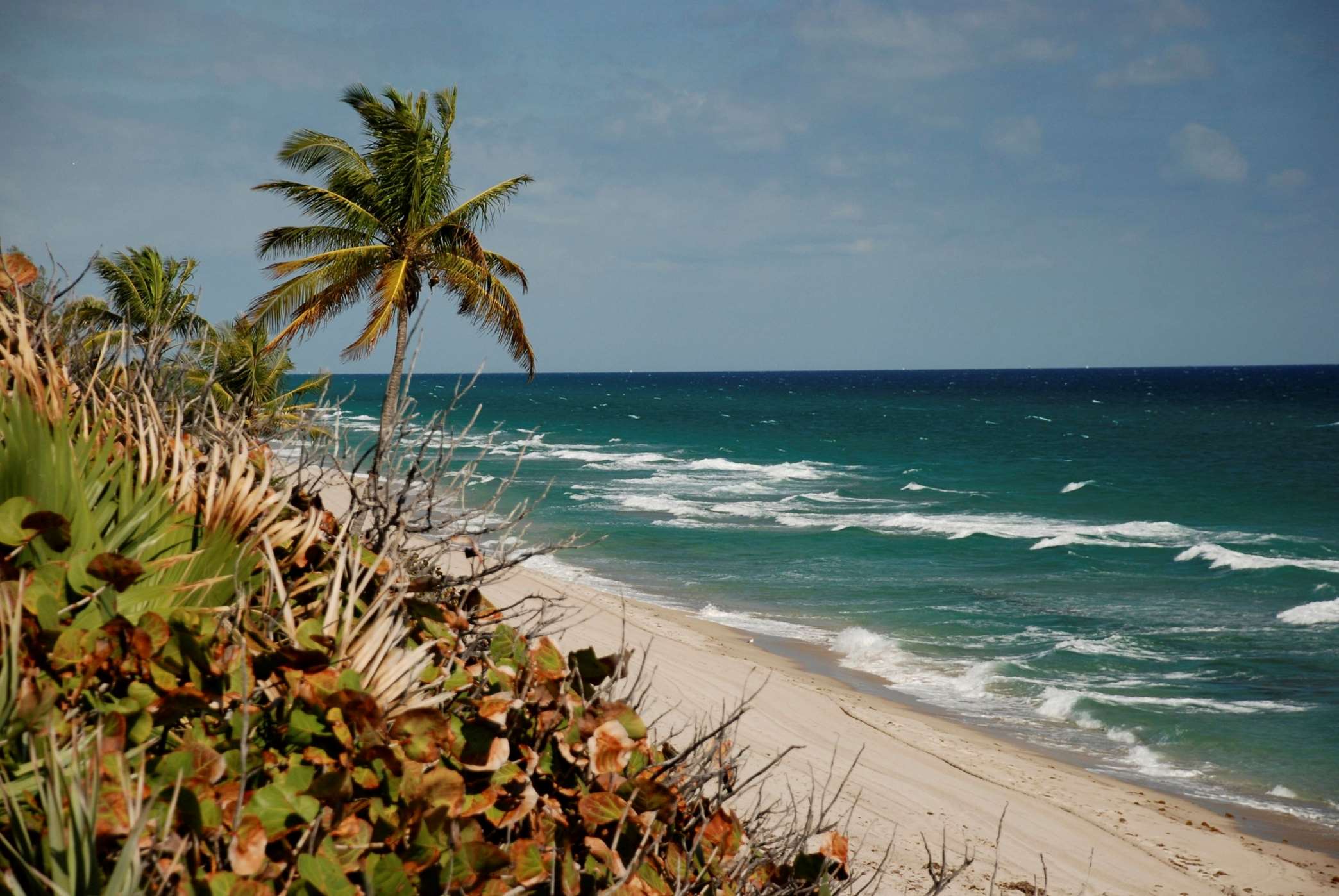 Bahia Mar Fort Lauderdale Beach - a DoubleTree by Hilton Hotel