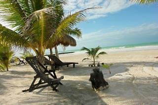 Beachfront Hotel La Palapa