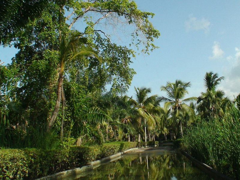 Hotel RIU Naiboa