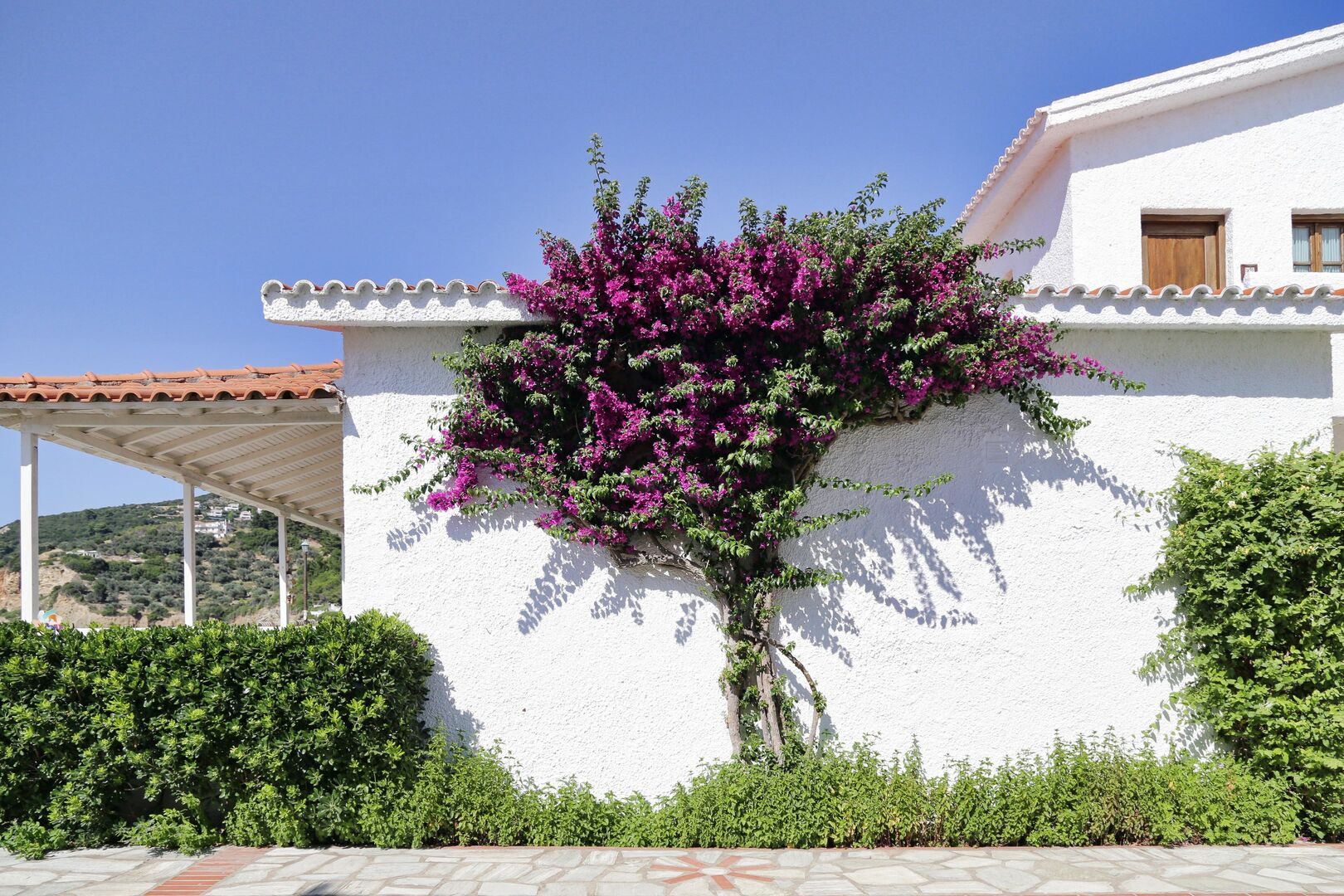 Skopelos Village Hotel