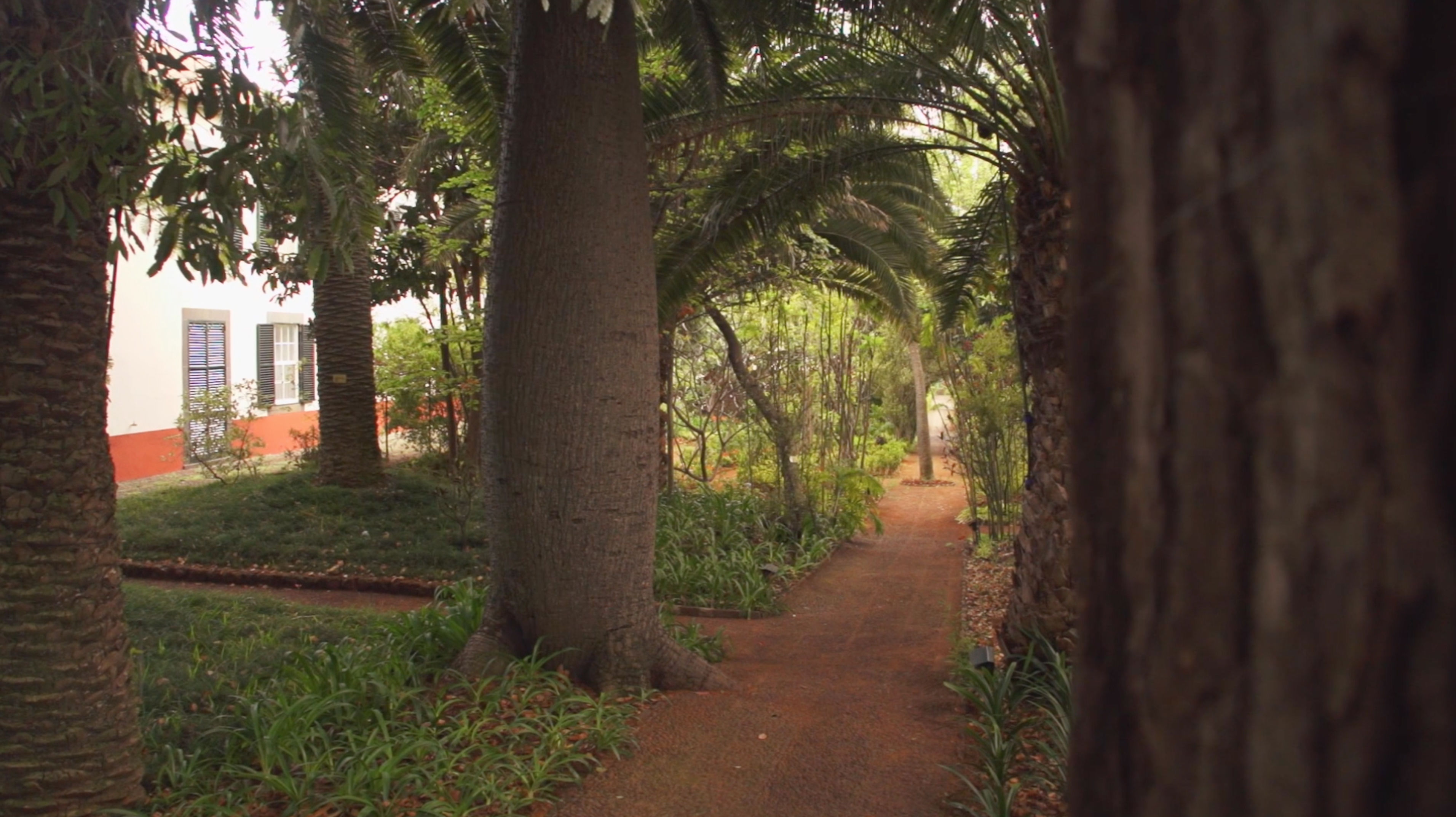 Quinta da Bela Vista