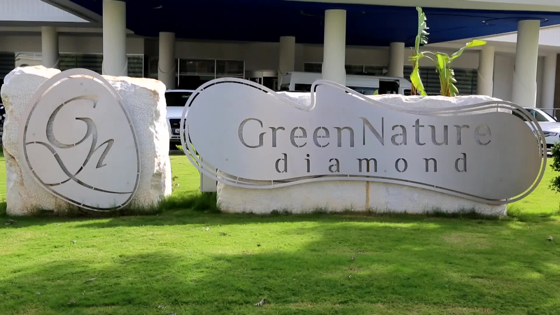 Green Nature Diamond