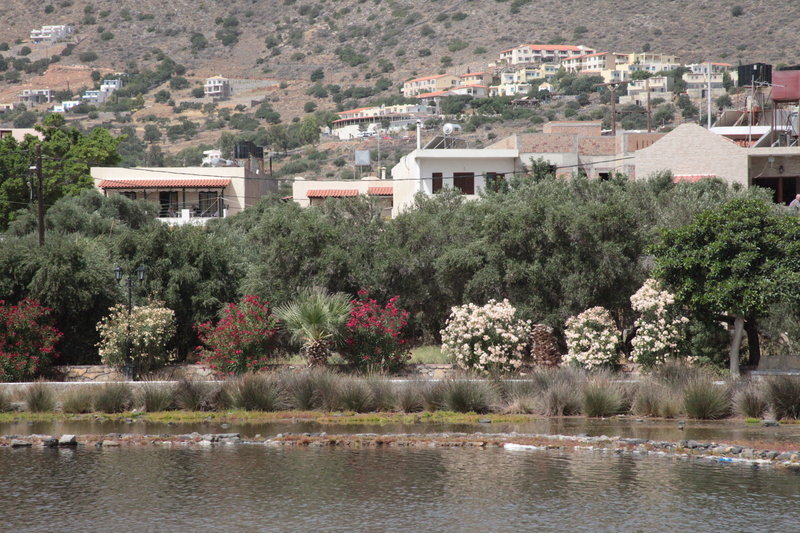 Elounda Olive Garden Studios