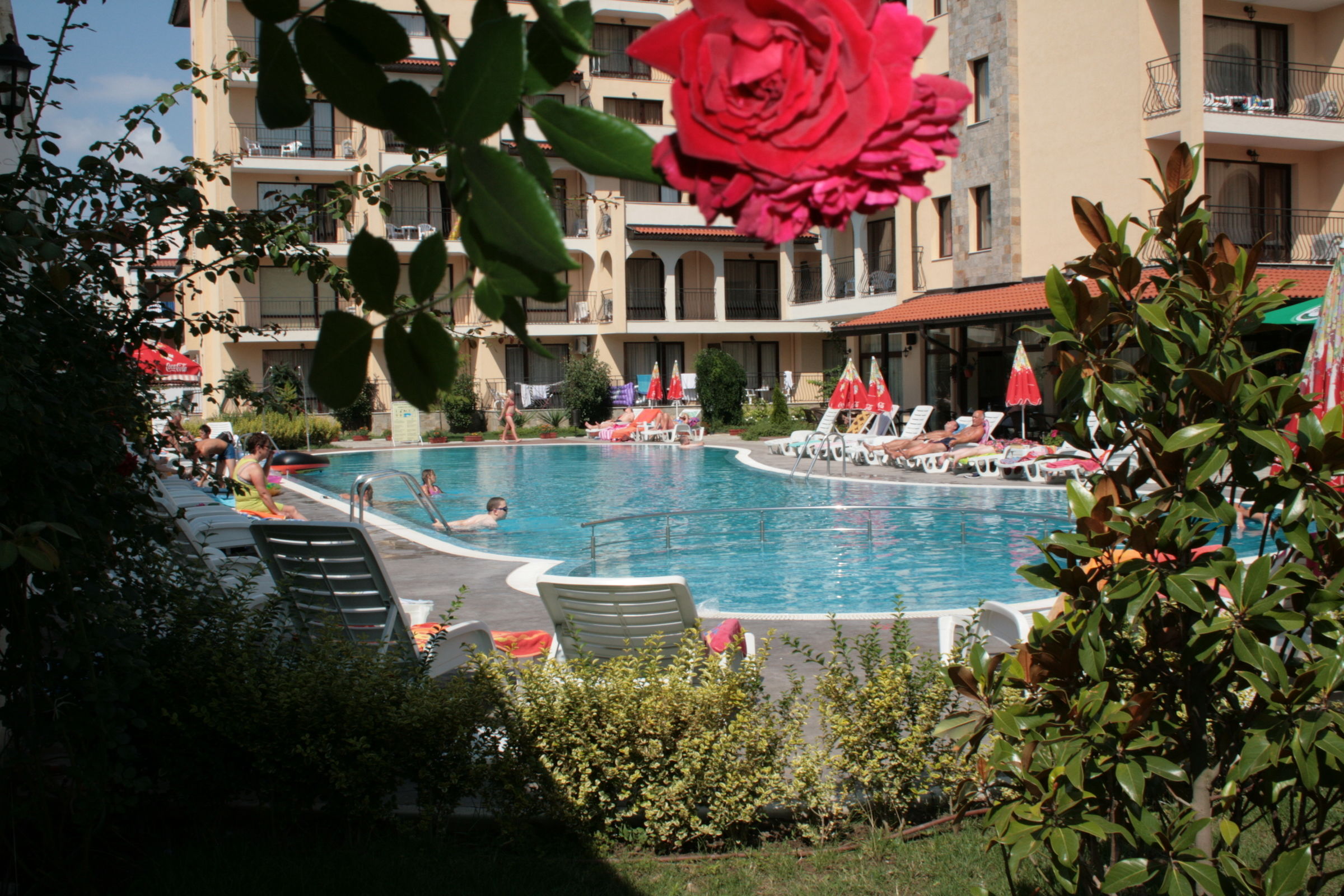 Hotel Rose Village