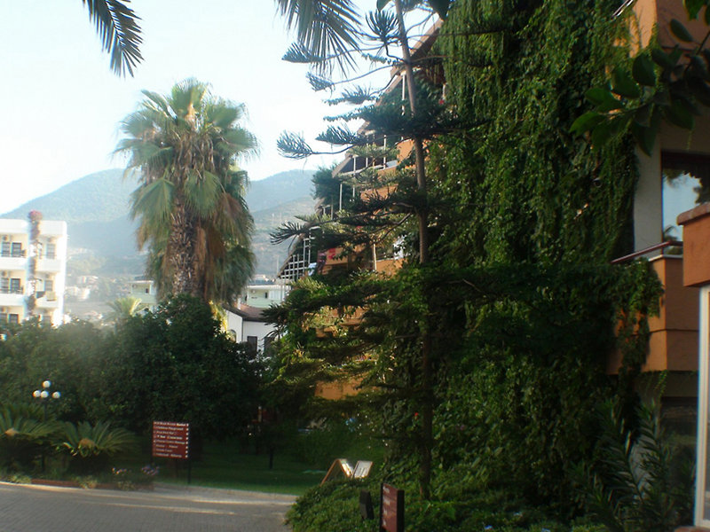 Panorama Hotel