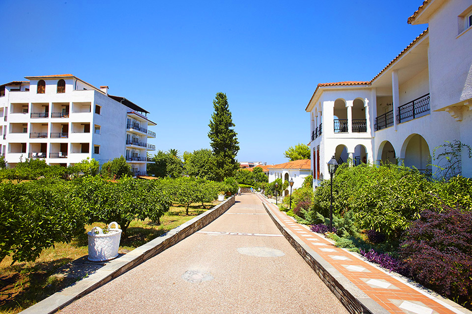 Alexander the Great Beach Hotel