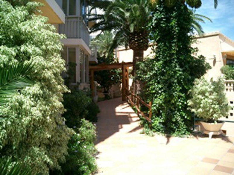 Palm Court