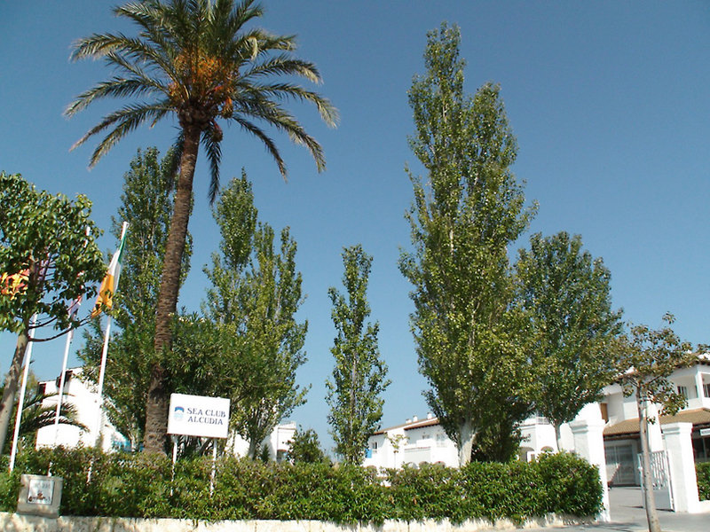 Seaclub Alcudia Mediterranean Resort Photo