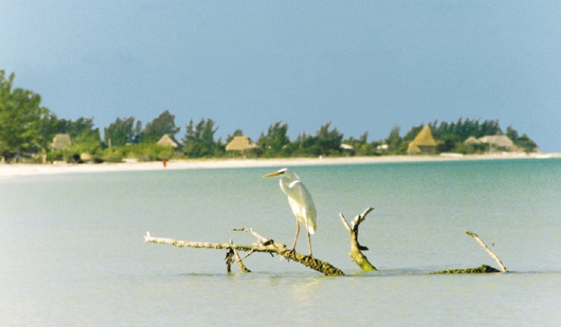 Villas Flamingos