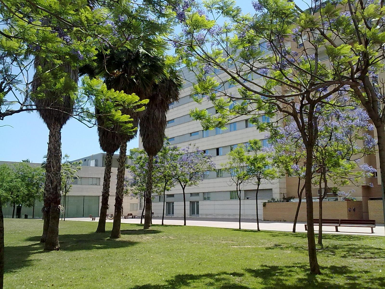 Hotel Front Marítim