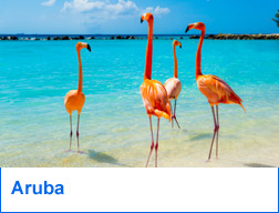 Aruba Holidays